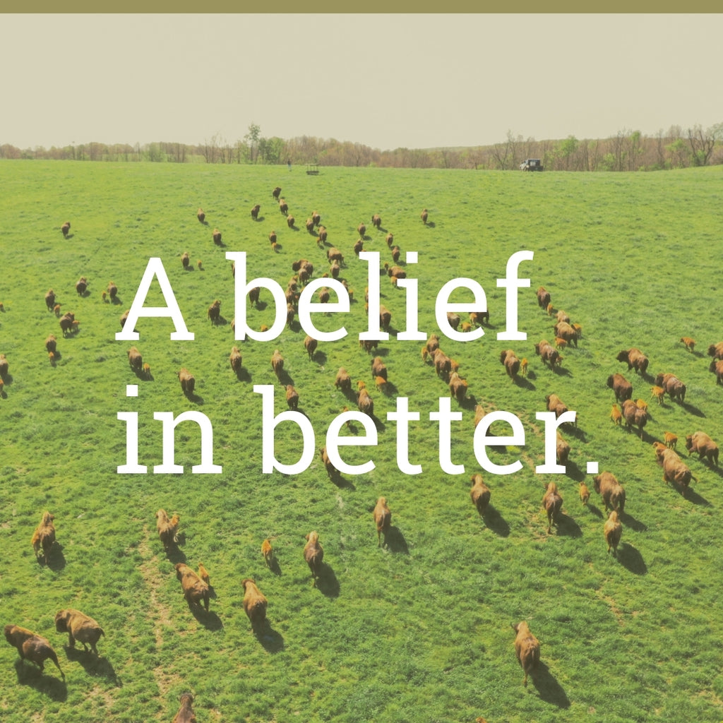 A drone shot of bison in the field. Text reads: A belief in better.