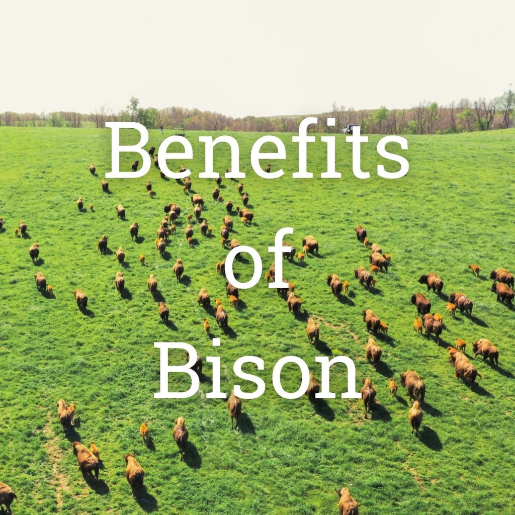 Drone shot of bison in field with text "Benefits of Bison".
